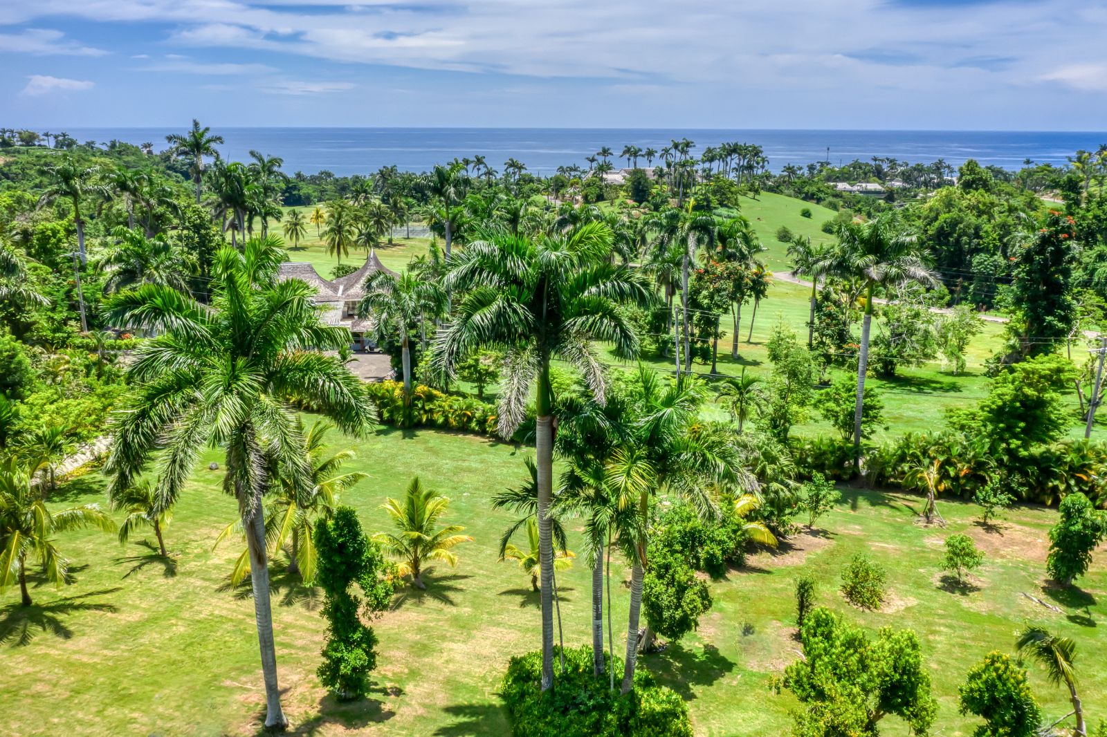 Garden from above