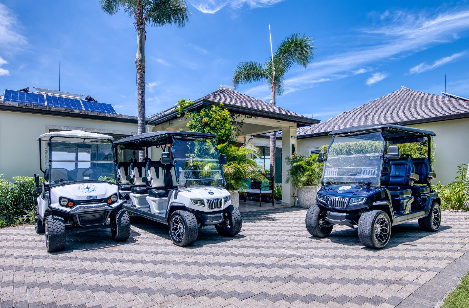 Golf cart fleet